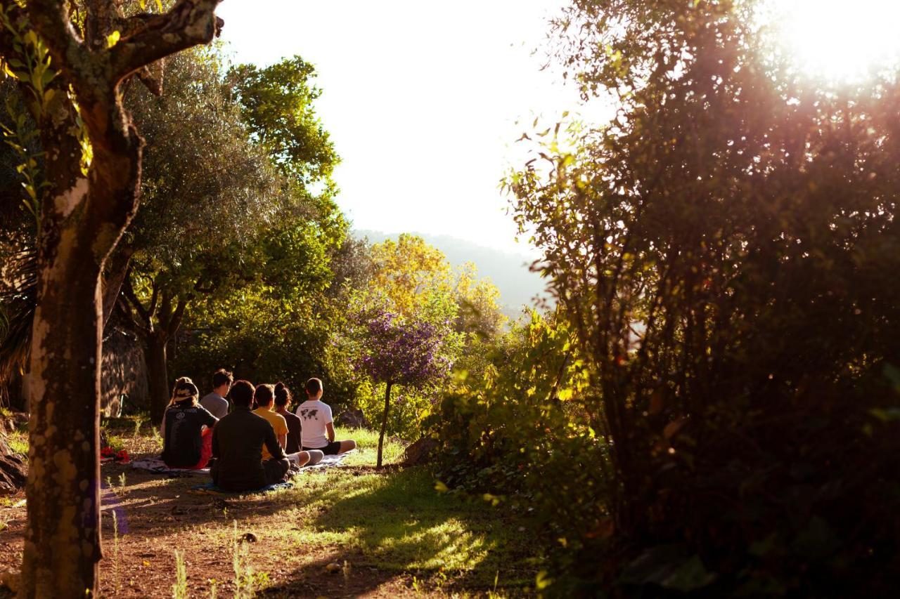 A Saboeira - Turismo Rural Belver  エクステリア 写真