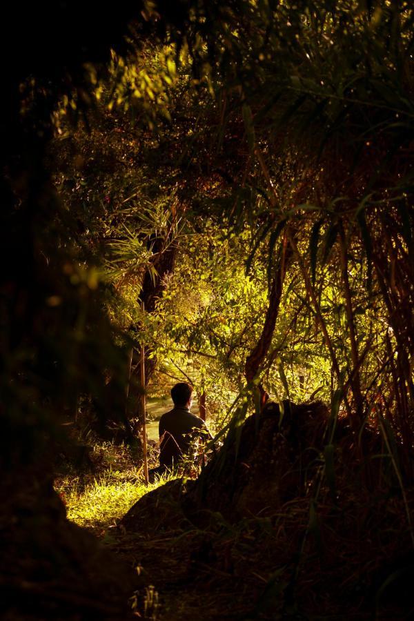 A Saboeira - Turismo Rural Belver  エクステリア 写真