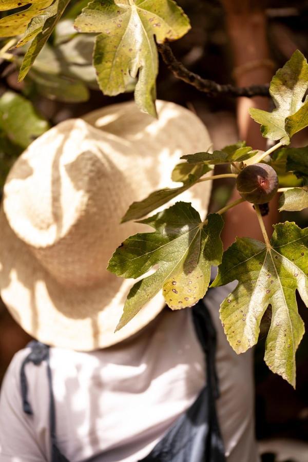A Saboeira - Turismo Rural Belver  エクステリア 写真